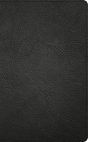 NASB Large Print Personal Size Reference Bible, Black