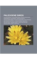 Paleogene Birds: Eocene Birds, Oligocene Birds, Paleocene Birds, Eremopezus, Dasornis, Odontopteryx, Pseudodontornis, Palaeochenoides