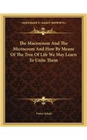 The Macrocosm and the Microcosm and How by Means of the Tree of Life We May Learn to Unite Them