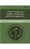 Three Essays on Public Economics and Heterogeneity