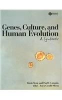 Genes, Culture, and Human Evolution