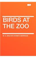 Birds at the Zoo