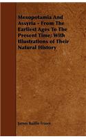 Mesopotamia And Assyria - From The Earliest Ages To The Present Time; With Illustrations of Their Natural History