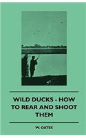 Wild Ducks - How to Rear and Shoot Them