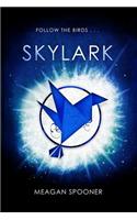Skylark