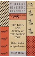 Form and Action of the Horse's Foot - A Historical Article on Equine Anatomy