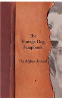 Vintage Dog Scrapbook - The Afghan Hound
