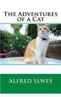The Adventures of a Cat