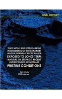 Trace Metals and Hydrocarbons in Sediments of the Beaufort Lagoon, Northeast Arctic Alaska, Exposed to Long-term Natural Oil Seepage, Recent Anthropogenic Activities and Pristine Conditions