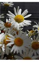 Chamomile Notebook