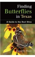 Finding Butterflies in Texas: A Guide to the Best Sites
