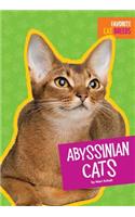 Abyssinian Cats