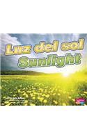 Luz del Sol/Sunlight