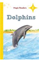 Dolphins: Level 1
