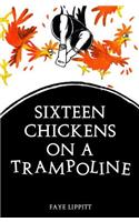 16 Chickens on a Trampoline
