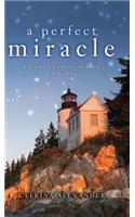 Perfect Miracle