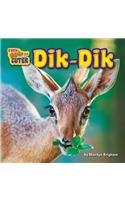 Dik-Dik