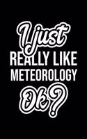 I Just Really Like Meteorology Ok?: Christmas Gift for Meteorology lover - Funny Meteorology Journal - Nice 2019 Christmas Present for Meteorology - 6x9inch 120 pages