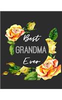 Best Grandma Ever: Grandmother Gratitude Journal 386 Pages Notebook 193 Days 8"x10" Meal Planner