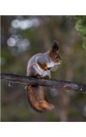 Squirrel in a Tree Dot Grid Bullet Journal: 150 Page Notebook 8 X 10 Inches