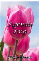 Agenda 2019