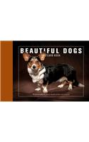 Beautiful Dogs Postcard Book