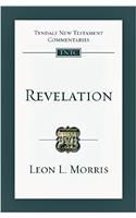 Revelation: An Introduction and Commentary(No. 20 Tyndale New Testament Commentaries)