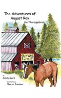 Adventures of August Ray the Thoroughbred