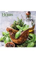 Herbs 2020 Square