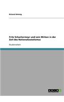 Fritz Schachermeyr und sein Wirken in der Zeit des Nationalsozialismus: (German)