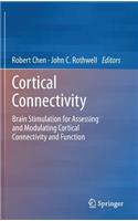 Cortical Connectivity