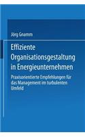 Effiziente Organisationsgestaltung in Energieunternehmen