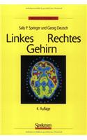 Linkes / Rechtes Gehirn