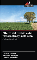 Effetto del rizobio e del fosforo Brady sulla resa