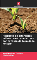 Resposta de diferentes milhos brancos ao stress por excesso de humidade no solo