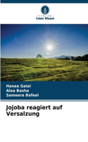 Jojoba reagiert auf Versalzung