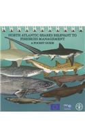North Atlantic Sharks Relevant to Fisheries Management