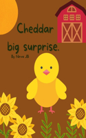 Cheddar Big Surprise