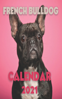 French Bulldog Calendar 2021
