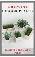 Growing Indoor Plants