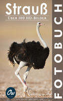 Strauß: Fotobuch