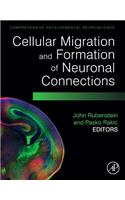 Cellular Migration and Formation of Neuronal Connections