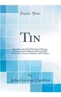 Tin: Describing the Chief Methods of Mining, Dressing, and Smelting It Abroad; With Notes Upon Arsenic, Bismuth, and Wolfram (Classic Reprint): Describing the Chief Methods of Mining, Dressing, and Smelting It Abroad; With Notes Upon Arsenic, Bismuth, and Wolfram (Classic Reprint)