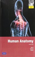 Human Anatomy