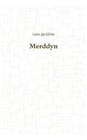 Merddyn