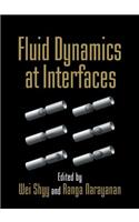 Fluid Dynamics at Interfaces