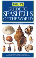 Guide To Seashells Of The World