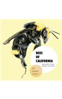 Bees of California