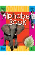 Dominie Letter Books - 35 Titles