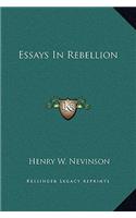 Essays In Rebellion